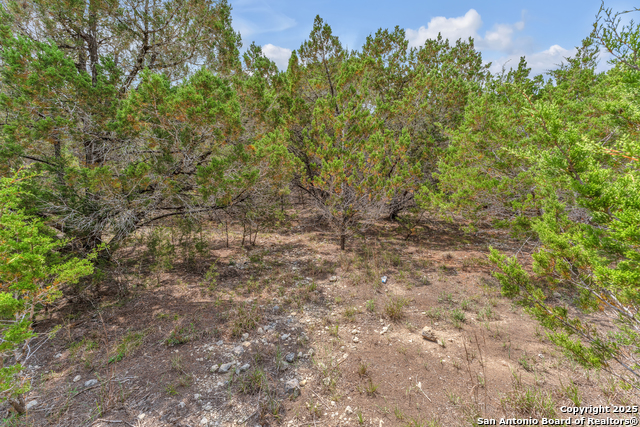 Listing photo id 9 for 1800 Owl (lot 31)