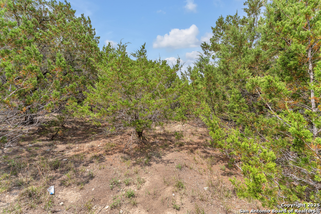 Listing photo id 11 for 1800 Owl (lot 31)