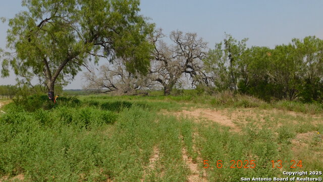 Image 2 of 4 For 238 E. Ditto Rd Ditto Road E