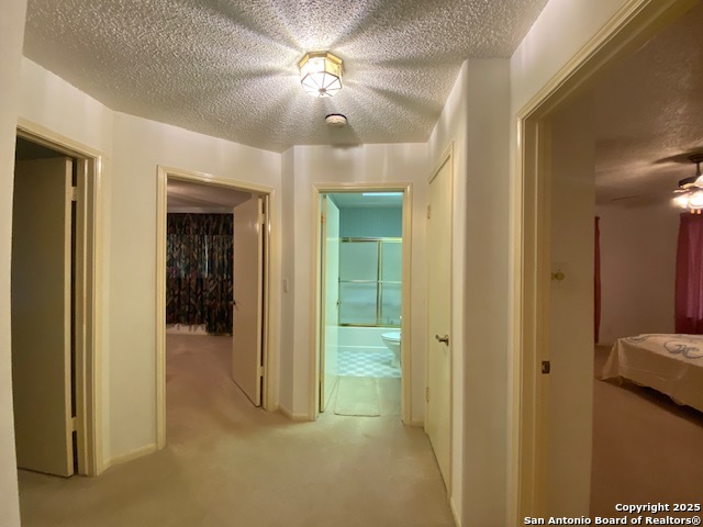 Listing photo id 24 for 4102 Greco Dr
