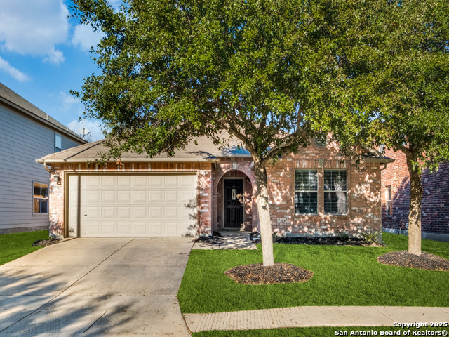 Details for 10703 Archer Point, San Antonio, TX 78254