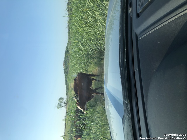 Listing photo id 10 for 0 County Road 579