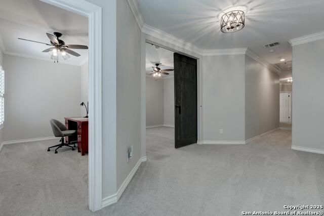 Listing photo id 30 for 27 Sherborne Wood