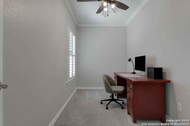 Listing photo id 32 for 27 Sherborne Wood