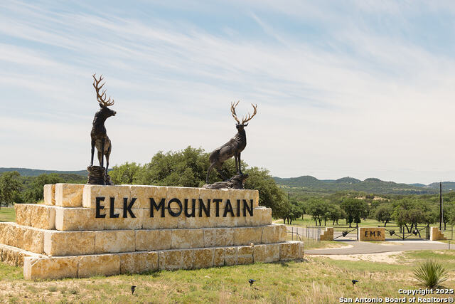 Image 3 of 20 For Lot 73 Red Stag