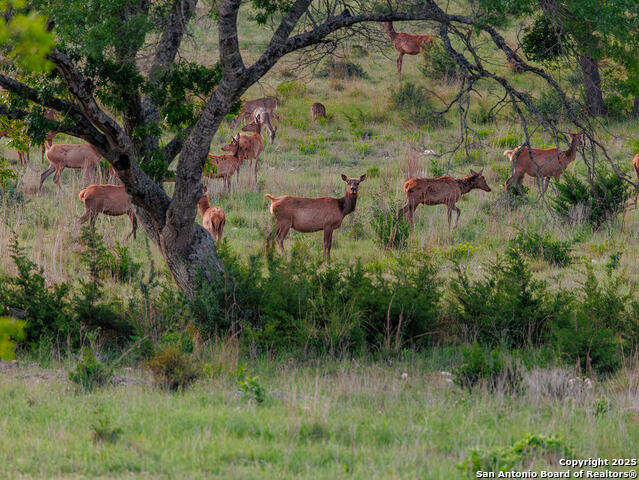 Image 14 of 20 For Lot 108 Fallow Trail
