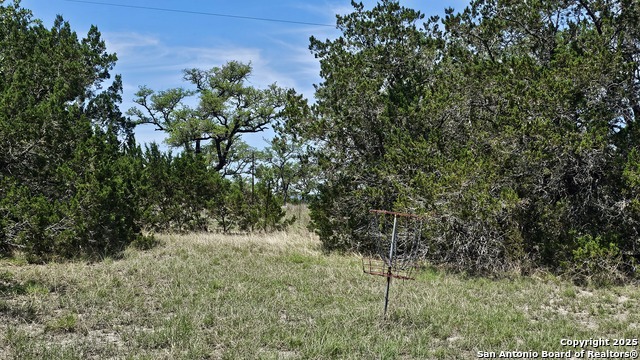 Image 23 of 46 For 1879 Forest Trail Dr