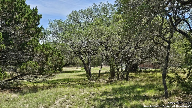 Image 24 of 46 For 1879 Forest Trail Dr