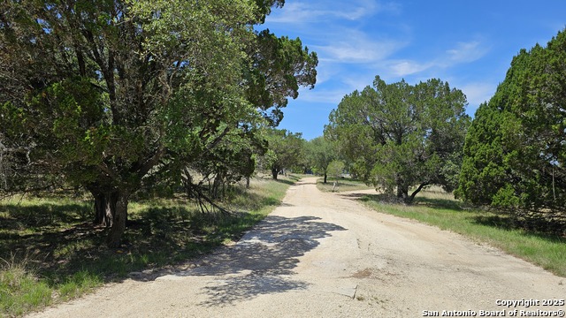 Image 7 of 46 For 1879 Forest Trail Dr