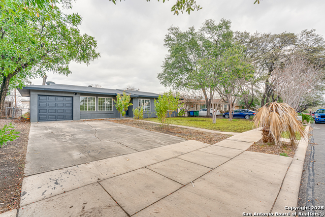 Image 39 of 39 For 447 Shannon Lee St