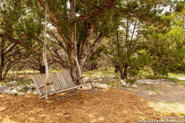 Image 36 of 52 For 233-239 Rosinweed