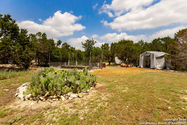 Image 37 of 52 For 233-239 Rosinweed