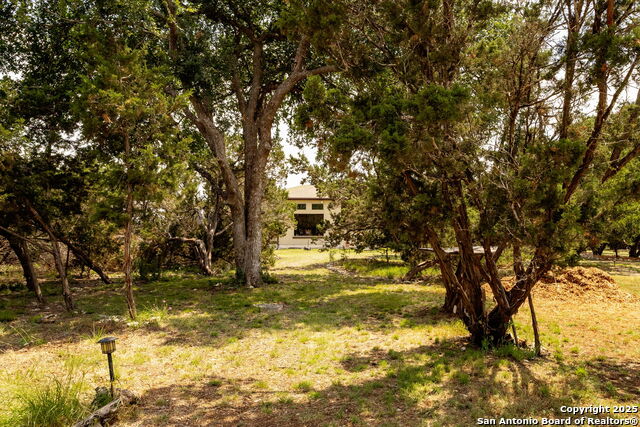 Image 39 of 52 For 233-239 Rosinweed