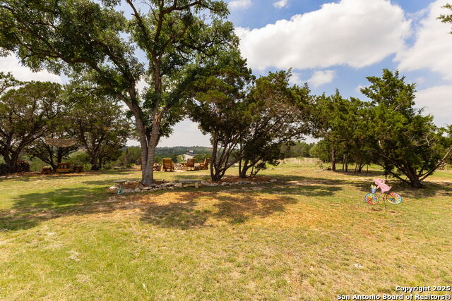 Image 45 of 52 For 233-239 Rosinweed