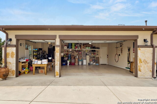 Image 49 of 52 For 233-239 Rosinweed