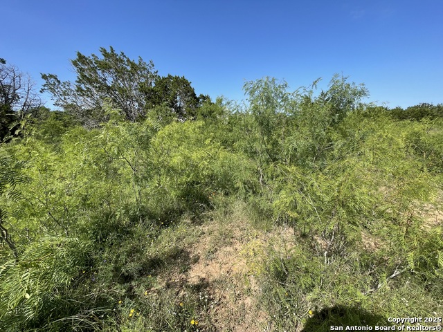 Image 10 of 14 For Lot 18 Enchanted River Dr