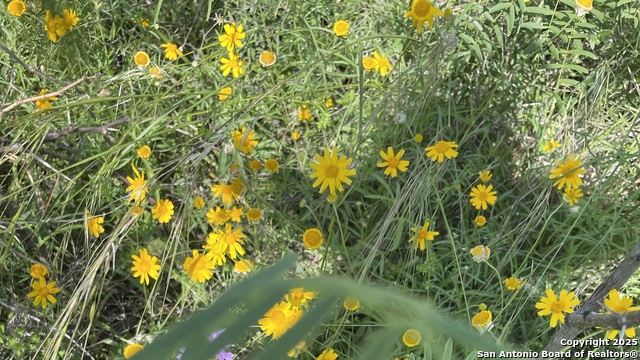 Image 4 of 14 For Lot 18 Enchanted River Dr