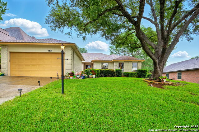 Details for 3804 Pheasant, Schertz, TX 78108