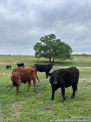 Details for Tbd (tract 2) Gates Valley W, Poteet, TX 78065
