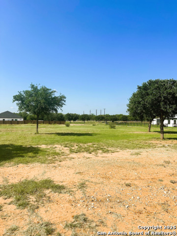 Image 3 of 4 For 128 Tree Farm W