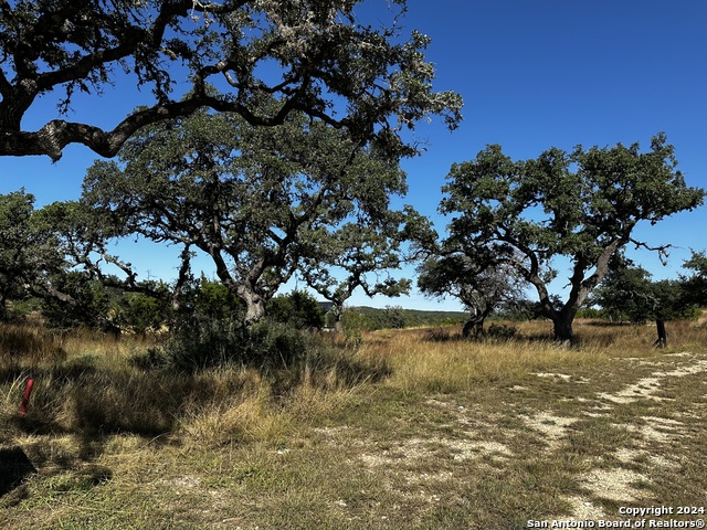 Details for 11205 Barreal, Boerne, TX 78006