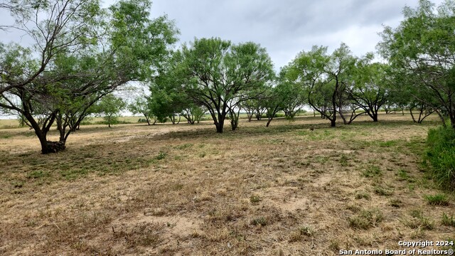 Image 12 of 12 For 1848 County Road 2557 Unit #1