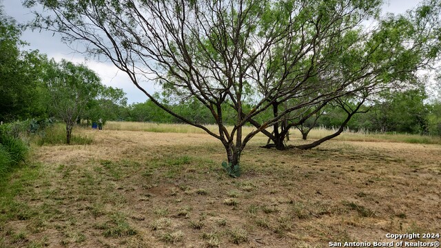 Image 8 of 12 For 1848 County Road 2557 Unit #1