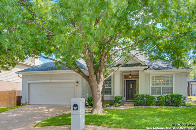 Details for 1163 Bluff Forest, San Antonio, TX 78248
