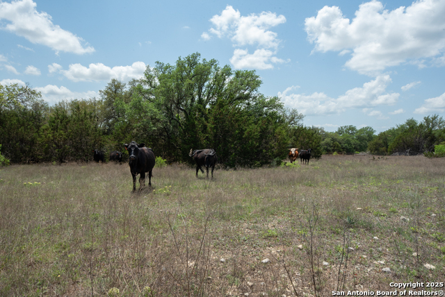 Image 7 of 26 For 287 County Rd 2722