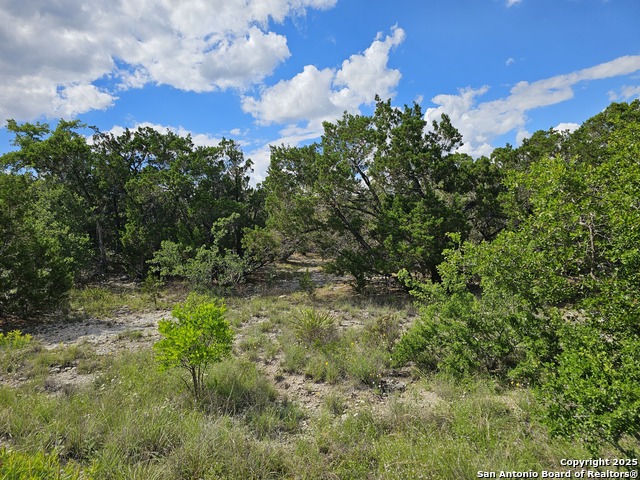 Image 14 of 26 For Lot 347 Pr 1747