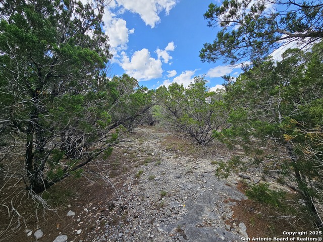 Image 16 of 26 For Lot 347 Pr 1747