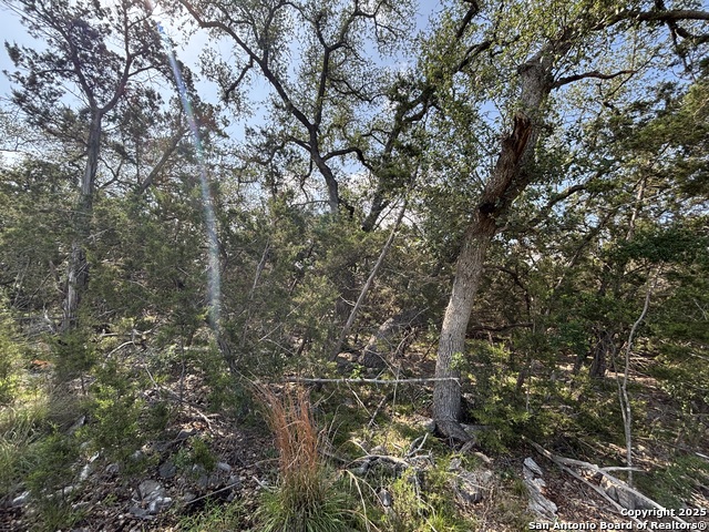 Image 12 of 18 For 1482 Trailhead