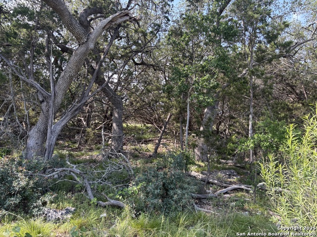 Image 13 of 18 For 1482 Trailhead