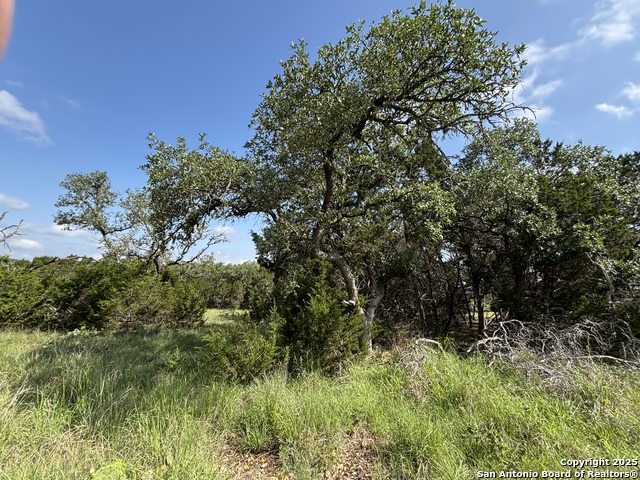 Image 6 of 18 For 1482 Trailhead