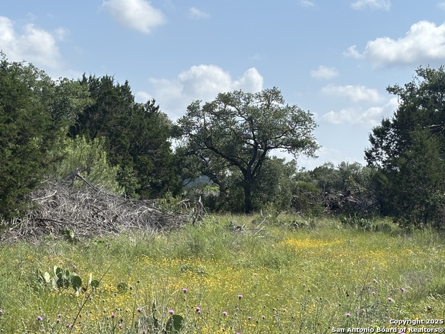 Image 9 of 18 For 1482 Trailhead