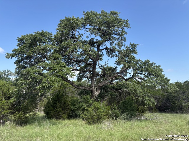 Details for 1483 Trailhead, New Braunfels, TX 78132