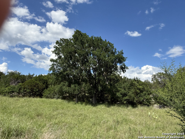 Image 11 of 20 For Lots 2 & 3 Horseshoe Bend