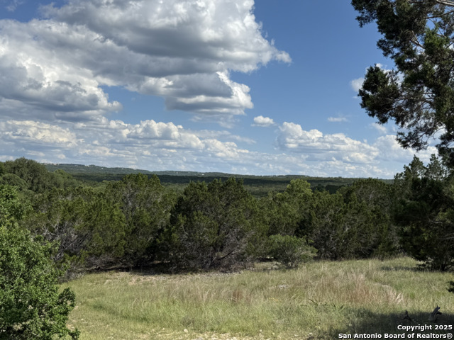 Image 15 of 20 For Lots 2 & 3 Horseshoe Bend