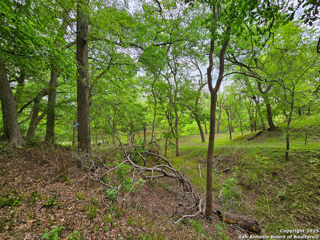Image 25 of 34 For 1600 River Trl