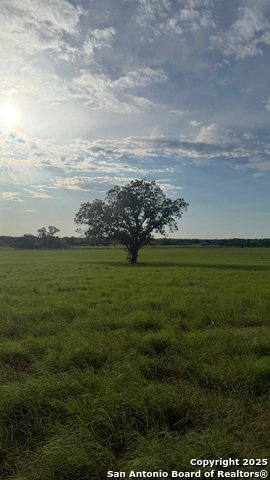 Image 14 of 22 For 12885 La Vernia Rd