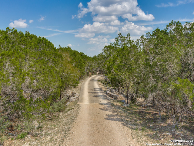 Listing photo id 18 for 3772 Spring Branch Rd