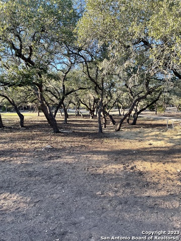 Listing photo id 26 for 3772 Spring Branch Rd