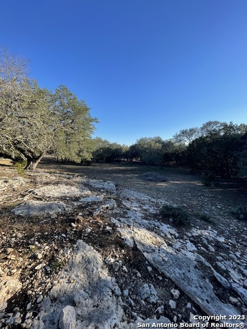 Listing photo id 27 for 3772 Spring Branch Rd