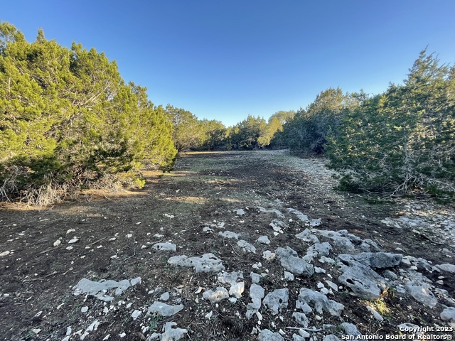 Listing photo id 28 for 3772 Spring Branch Rd
