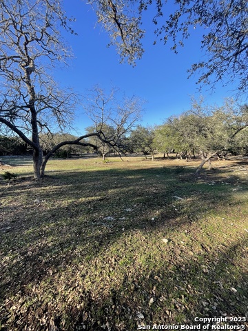 Listing photo id 29 for 3772 Spring Branch Rd
