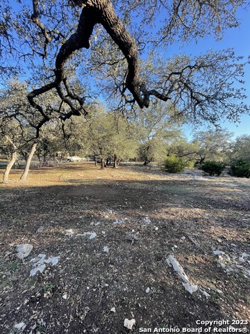 Listing photo id 30 for 3772 Spring Branch Rd
