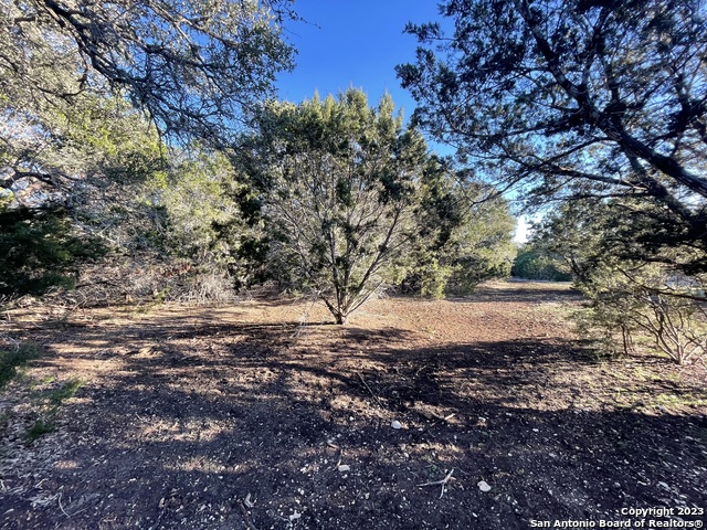 Listing photo id 33 for 3772 Spring Branch Rd