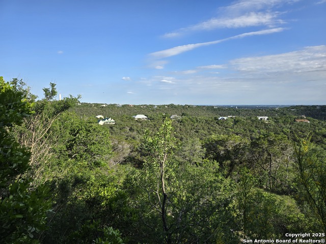 Image 32 of 44 For 9840 Tower View