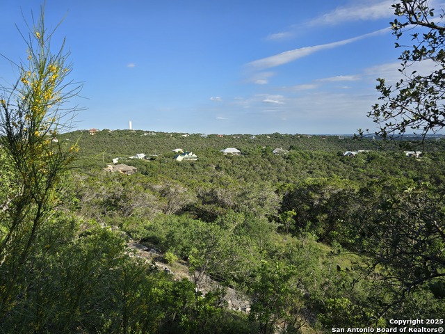 Image 34 of 44 For 9840 Tower View