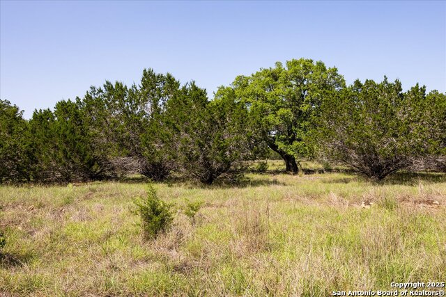 Image 11 of 54 For 32568 Tierra Robles Dr